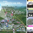 트인자리애 2차 이미지