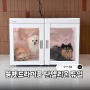 제이그루밍 | 강아지 드라이룸, 붐펫드라이룸 단델리온 듀얼로 털 말리기 간편하게~