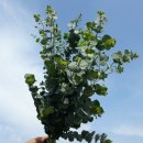 한라주차장 이미지