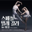 [대한민국발레축제] 스페셜 발레 갈라 in 화성 이미지