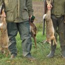 토끼사냥 이미지