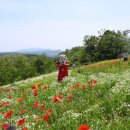 장관목장 이미지