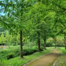 의령예술촌(야외) 이미지