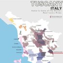 비네토(vigneto) 이미지