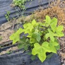 민건농장 이미지