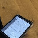 대구 남구 대명 눈썹 컨설팅｜위시브로우