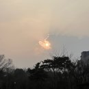 하이눈파크 | 2024년이 시작되었거든요...!(1)