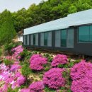 아미사입구 이미지