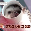 따봉 이미지