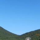 박대현농장 이미지