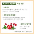 에스테라 이미지