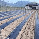 경희팔팔한의원 이미지