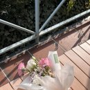 모네의 여름 이미지