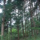 두밀리 마을회관 이미지