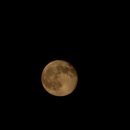 화성행궁 | 수원 미디어 아트쇼 화성행궁 방문후기