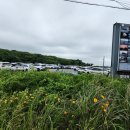 제주 오설록 티뮤지엄 후기 제주 올패스 쿠폰으로 즐긴 녹차밭 힐링 여행