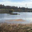 대실역2번 출구 이미지