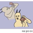 마초장어 이미지