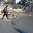 구봉초교병설유치원 이미지