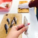 볼락 밤낚시 체험 이미지