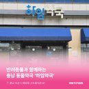 하임약국 이미지