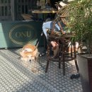 오누(ONU)