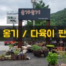 용문산 다육이 옹기 판매점 " 송가옹기 " 항아리 보러 갔어요~!