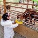 우농타조농장 이미지