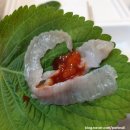 울산 삼산동 농수산물 시장 ) 회센터