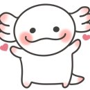 에듀마루 이미지