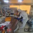 청춘방역(소독) 네이버블로그