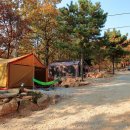 낭만에코파크 이미지