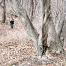 도곡온천 이미지