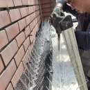 비둘기미용실 이미지