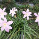 광바위주유소 이미지