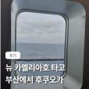 부산에서 후쿠오카 배 뉴 카멜리아호 멀미와 다인실 경험