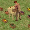 [Paladin's Sims] 농작물 가판대/1타일 펫침대/자동으로 집세 내주는 기계 등등 이미지