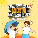 일광 이미지