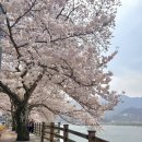 CU 하동섬진강점 이미지