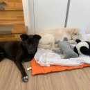 비우고채움 이미지