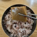 강화도 맛집여행 광성보 광성식당 후기