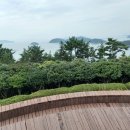 달아마루브릴랑 이미지