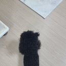 멍멍한끼 이미지