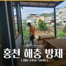 홍천 해충 방제, 음식점 방역 위생 걱정 완벽 대비!