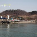 안산-대부-대부-풍도1 이미지