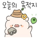 평창 국민여가캠핑장 이미지