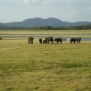 마두공원 이미지