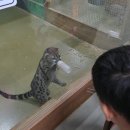 금마관광지 | 익산 아이랑 가볼만한곳 액션하우스 동물 먹이체험 후기