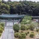남해얼음