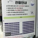 더간판스타리움 | 혜화 연극 옥탑방고양이 솔직 후기 대학로 연극 추천